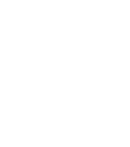 Logo T²PM